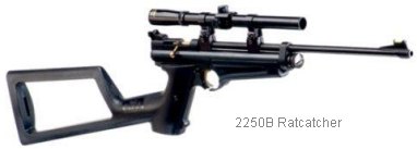 Crosman 2250B Ratcatcher